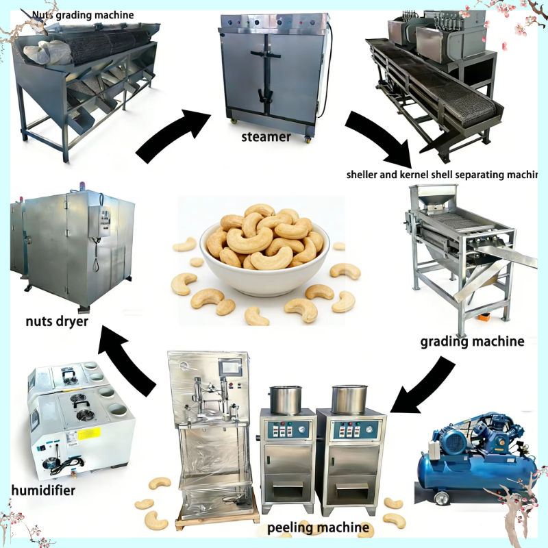 Peanut Butter Snack - Customized Peanut Production Line Automatic Peanut
